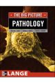 PATHOLOGY: THE BIG PICTURE