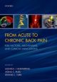 From Acute to Chronic Back Pain Risk Factors, Mechanisms, and Clinical Implications