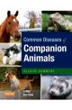 Common Diseases of Companion Animals 3e