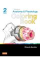 Mosby's Anatomy and Physiology 2E