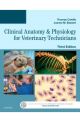 Clin Anatomy & Physiology Vet Tech 3E