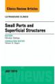 Small Parts and Superficial Structures,