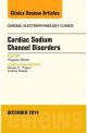 Cardiac Sodium Channel Disorders, An Iss