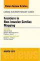 Frontiers in Non-invasive Cardiac Mappin