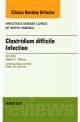 Clostridium difficile Infection, An Issu
