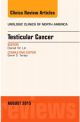Testicular Cancer, An Issue of Urologic