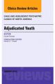 Adjudicated Youth, An Issue of Child and