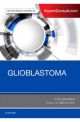 Treatment of Glioblastoma: Molecular and