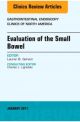 Evaluation of the Small Bowel, An Issue