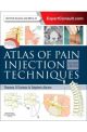 Atlas of Pain Injection Techniques, 2e