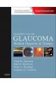 Glaucoma 2e 2 Volume Set