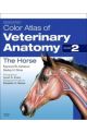 Colour Atlas Vet Anatomy Vol 2 Horse 2e
