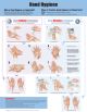 Hand Hygiene, None, First Edition Laminated chart only