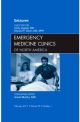 Seizures Emergency Department Vol 29-1