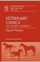 Equine Ambulatory Practice Vol 28-1