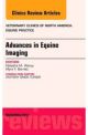 Advances in Equine Imaging Vol 28-3
