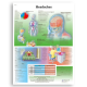 3B Scientific Poly Laminated Biological Chart