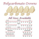 Supercrown Temp Polycarb Crown #11, 5per pack