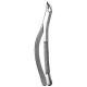 Livingstone Dental Extracting Forceps, No. 151S, Lower Child US, Box Joint, Stainless Steel