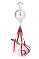 seca 310 Dial hanging scale with sling, 25kg