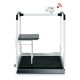 Seca 684 Multifunctional scale, electronic  360 kg/800 lbs, with access ramp, Wireless.