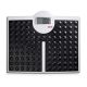 seca 813 - Electronic Flat Scale with Black Rubber Platform